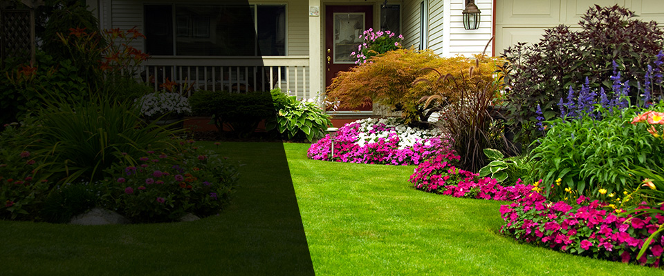 Los Osos Landscapers
